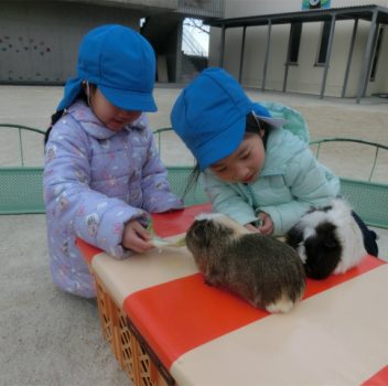 🐰移動動物園🐐