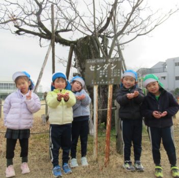 🏫年長組🏫小学校に遊びに行ったよ☺